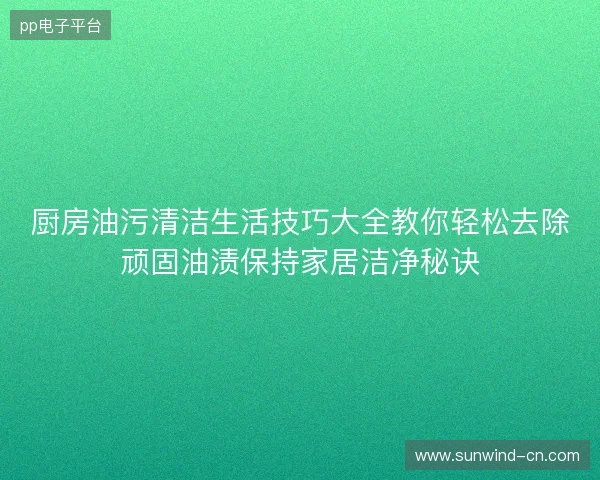厨房油污清洁生活技巧大全教你轻松去除顽固油渍保持家居洁净秘诀